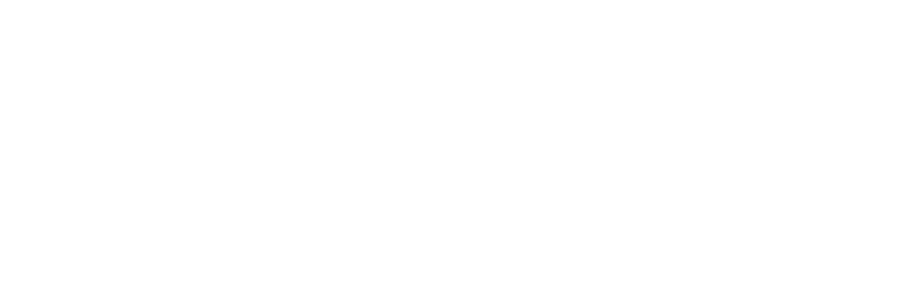 Aivisas